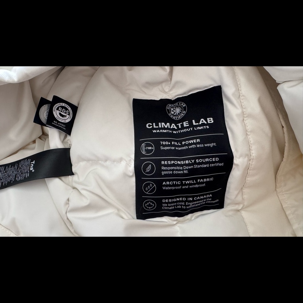Aritzia TNA Winter Coat - Summit Parka - Picture 3 of 9
